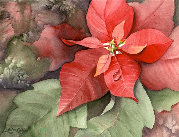 Poinsett_s_Discovery