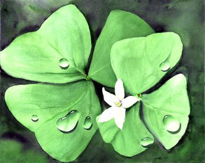 DewDropShamrock