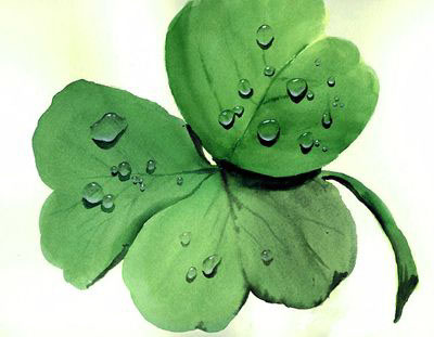 Shamrock