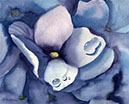Blue_hydrangea
