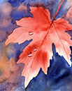 Maple-Leaf